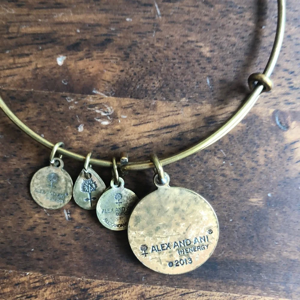 Alex and Ani Virgo Bangle Bracelet Rafaelian Gold Zodiac Expandable Energy 2013